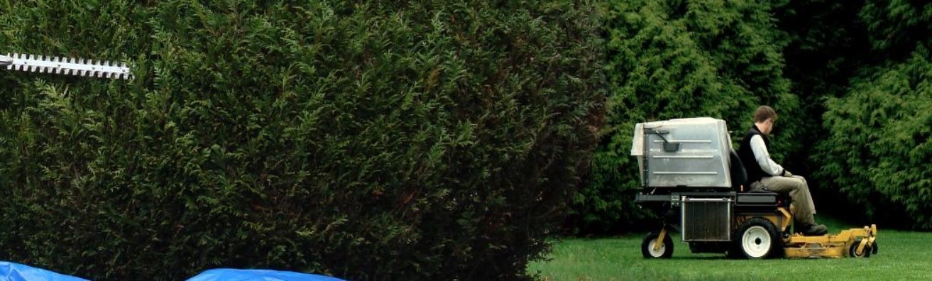 Landscaping Safety Training (OSHA)