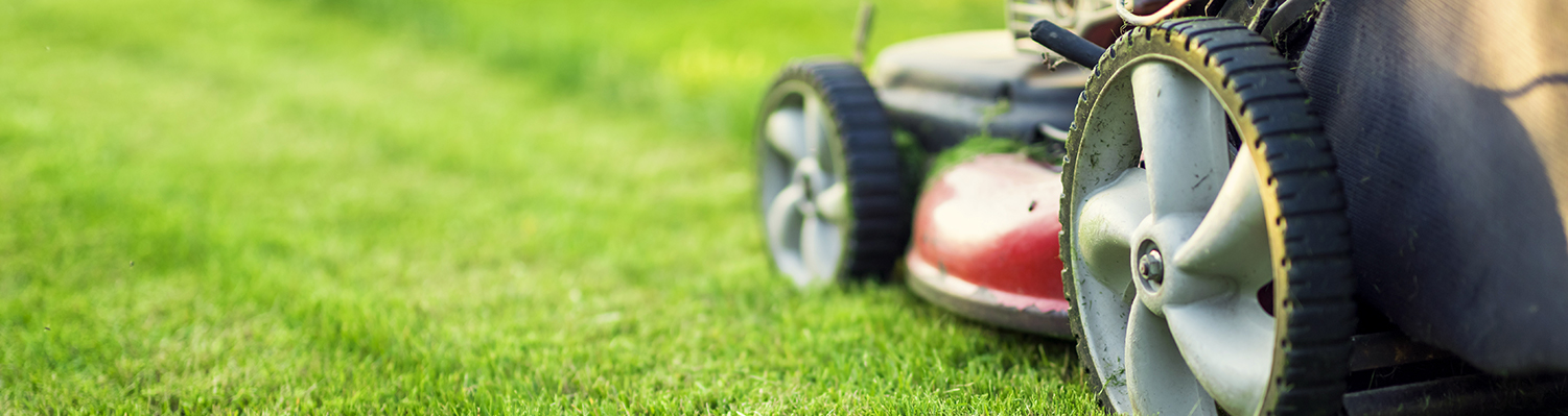 Lawnmower Safety Training (OSHA)