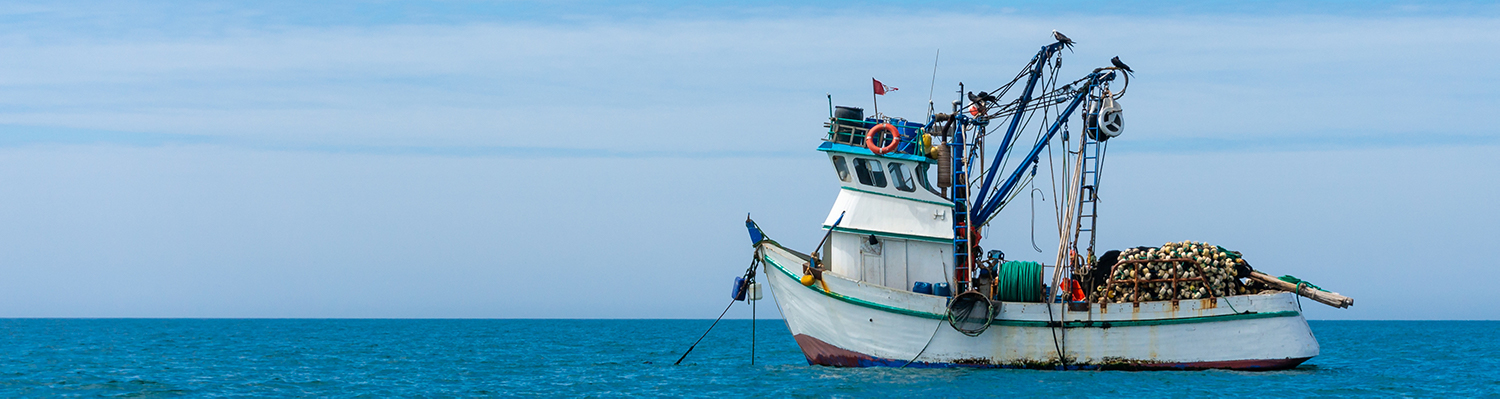Maritime Fall Protection Training (OSHA)