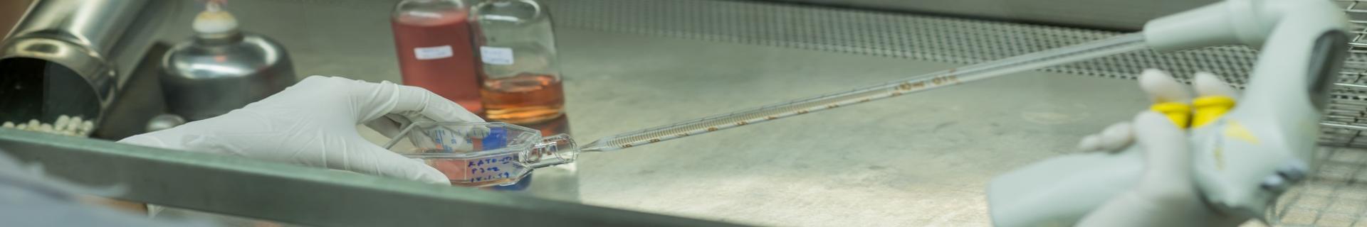 Biosafety Cabinets
