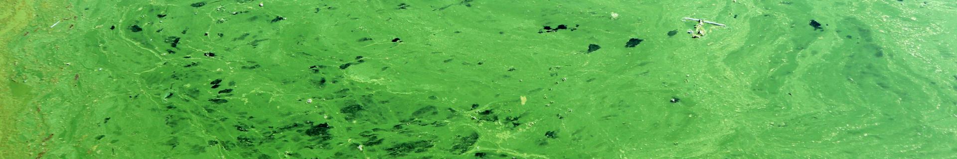 Stormwater Pollution Prevention
