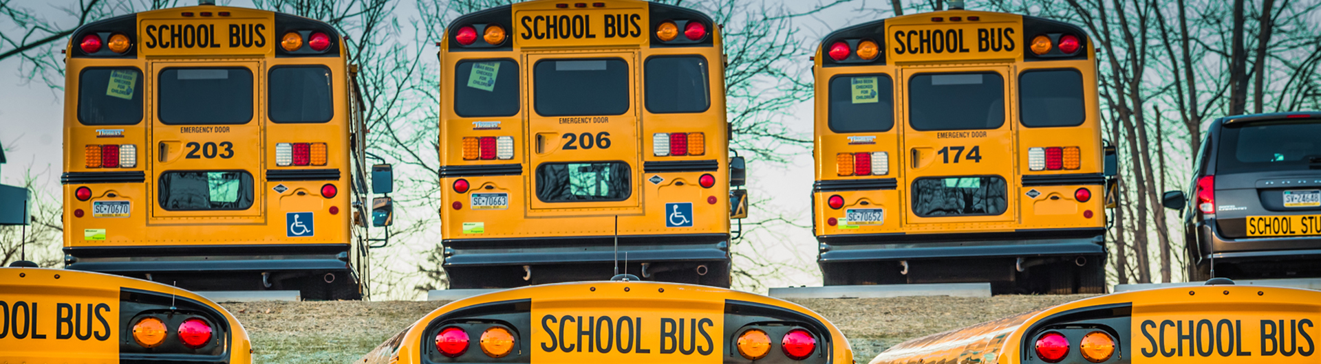 Cargo Safety for Buses and Vans Online