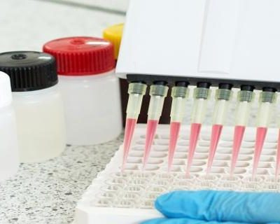 Recombinant DNA