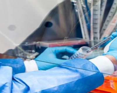 Laboratory Hoods