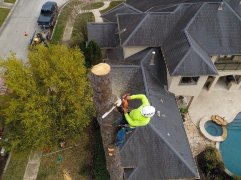 <h1>America’s Most Dangerous Jobs</h1>