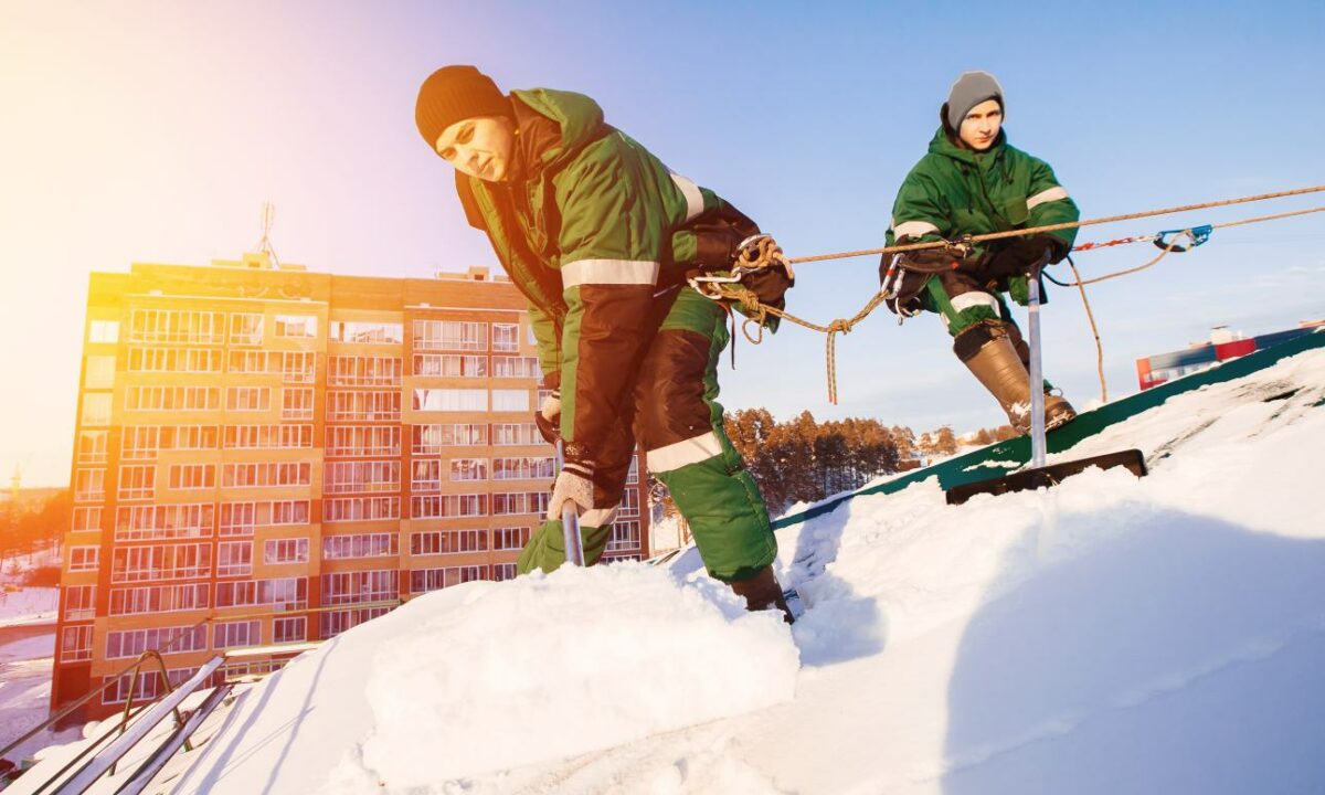 <h1>Working in the Cold | How They Do It</h1>